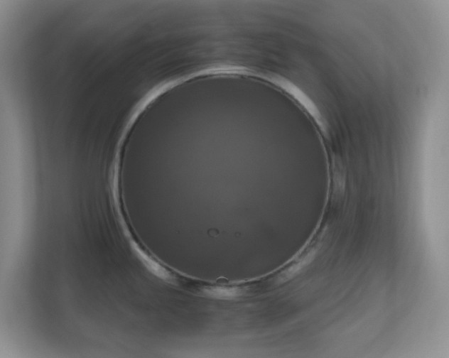 X0000110711245200906191541