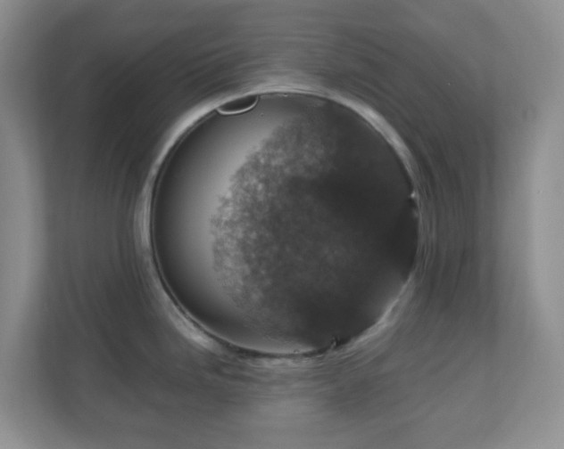 X0000110711246200906191541