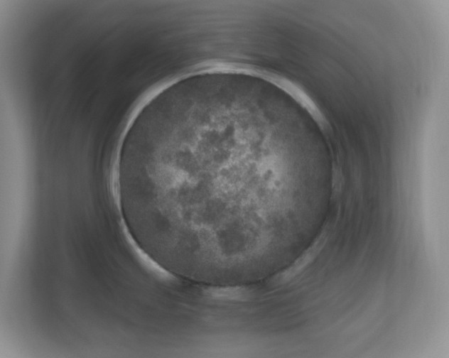 X0000110711247200906191541