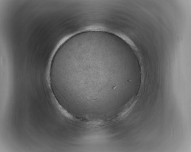 X0000110711248200906191541