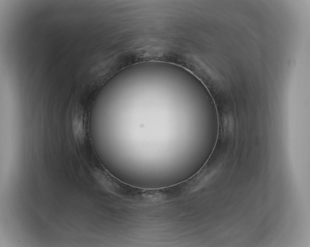 X0000110711250200906191540