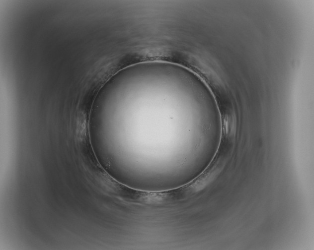 X0000110711251200906191540