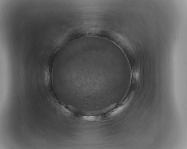 X0000110711252200906191540