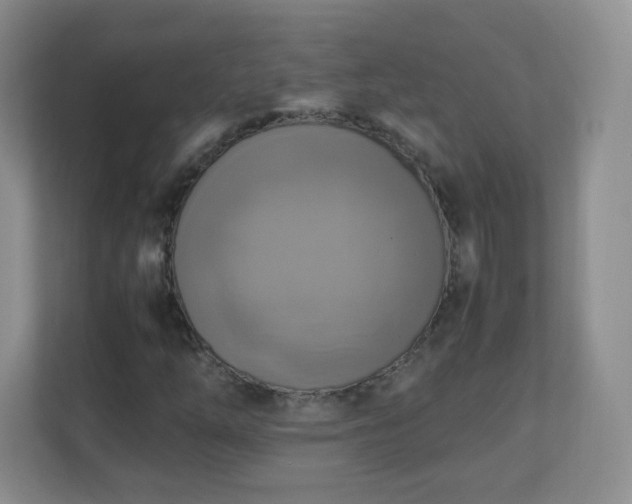 X0000110711254200906191540