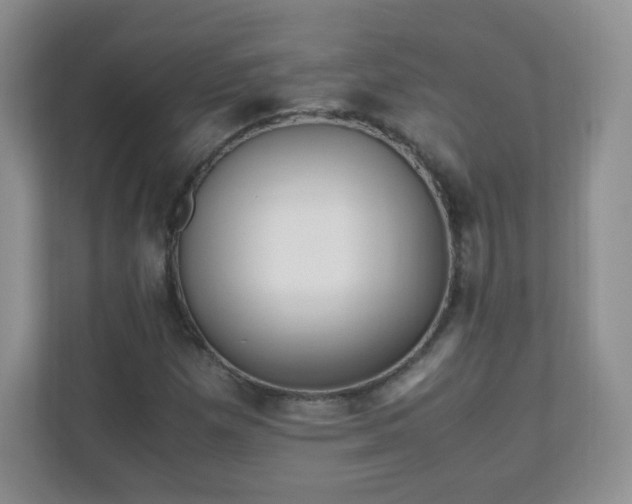 X0000110711257200906191540