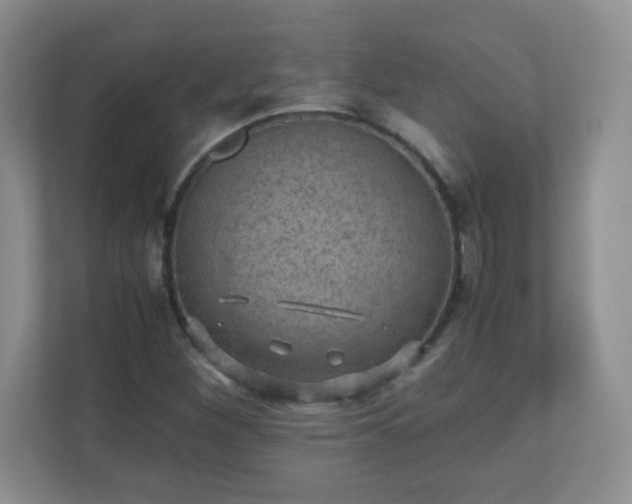 X0000110711260200906191540