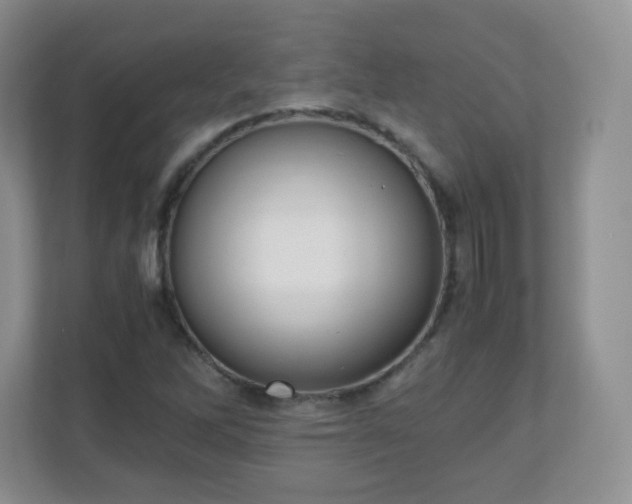 X0000110711262200906191540