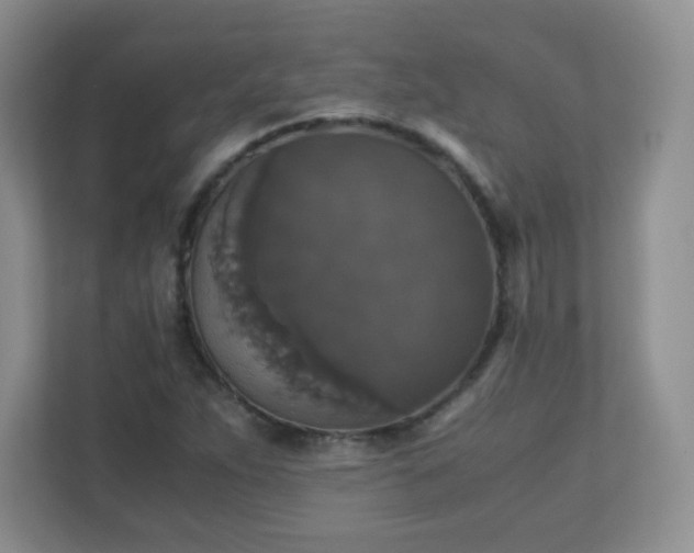 X0000110711263200906191540
