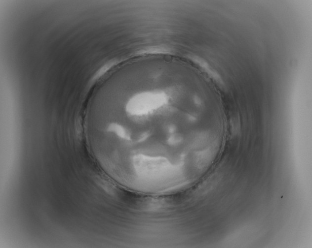 X0000110711266200906191540