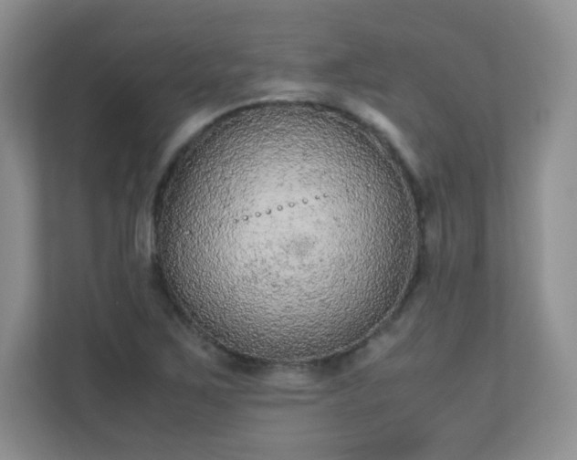 X0000110711267200906191540