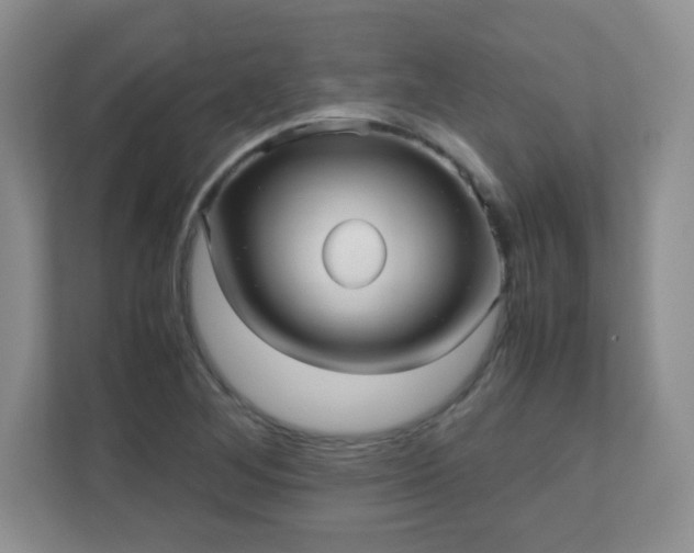 X0000110711268200906191540