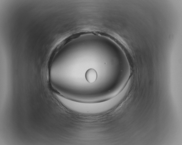 X0000110711269200906191540
