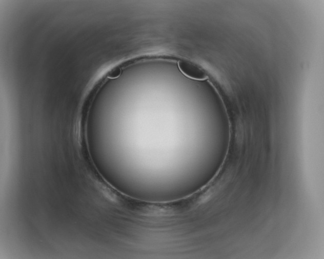 X0000110711270200906191540