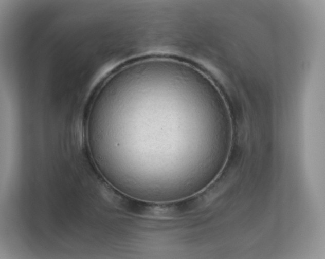 X0000110711271200906191540