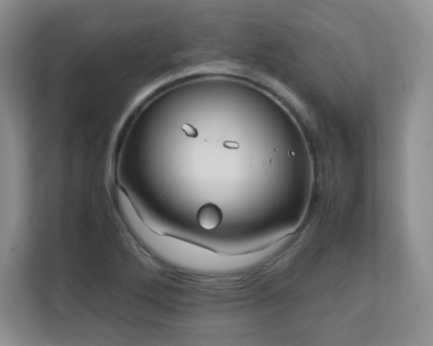 X0000110711272200906191540