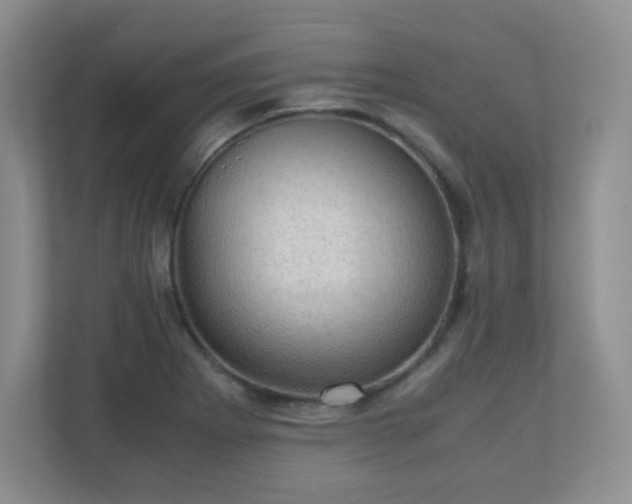 X0000110711273200906191540