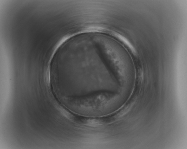 X0000110711275200906191540
