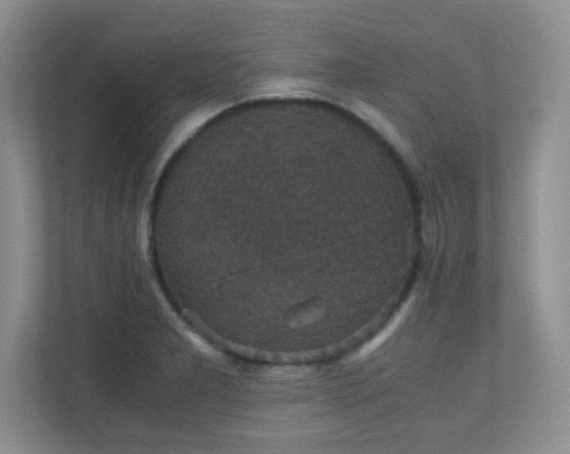 X0000110711277200906191540