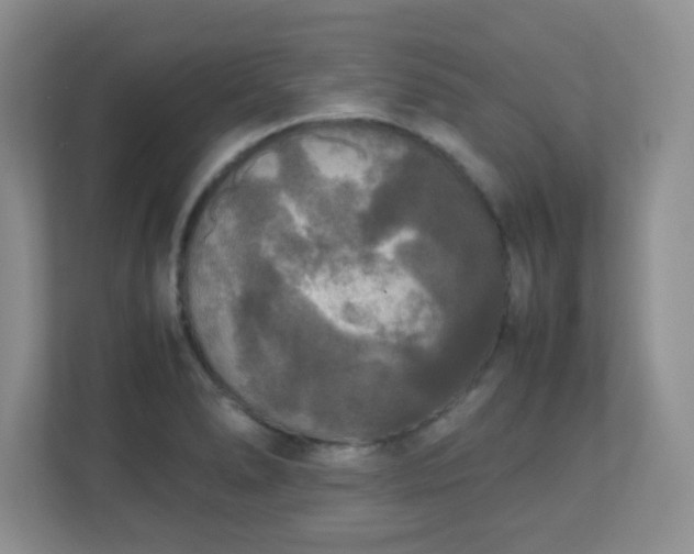 X0000110711278200906191540