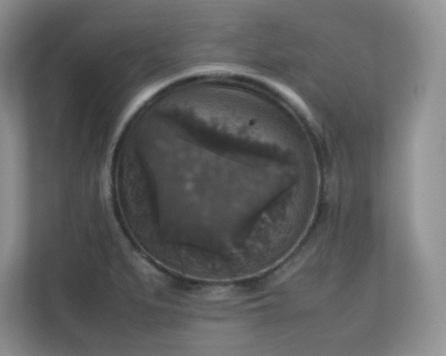 X0000110711279200906191540
