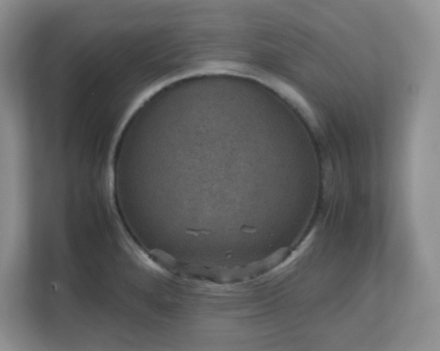 X0000110711280200906191540