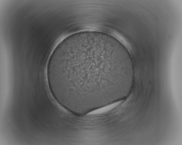 X0000110711283200906191540