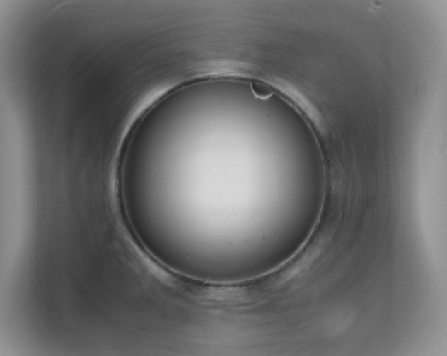 X0000110711285200906191540