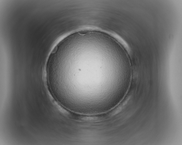 X0000110711287200906191540