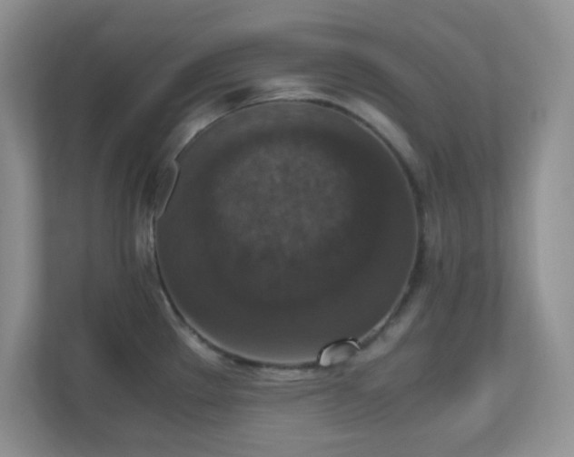 X0000110711289200906191540