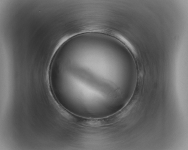 X0000110711291200906191540