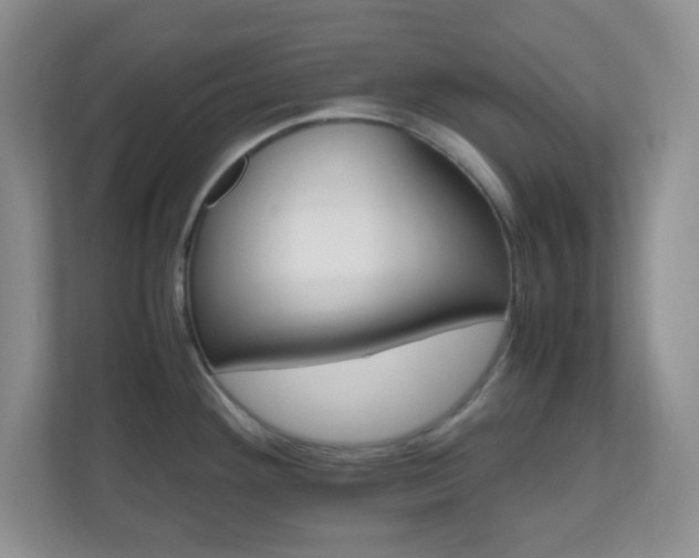 X0000110711292200906191540