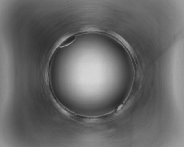 X0000110711293200906191540