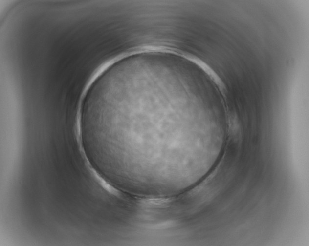 X0000110711294200906191540