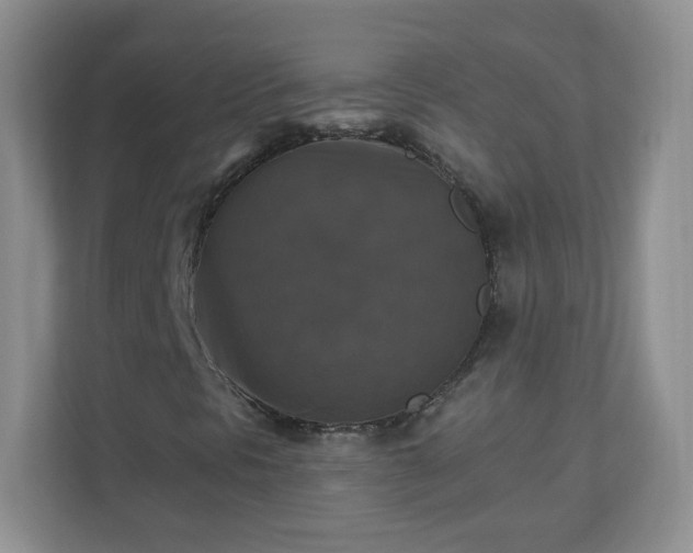 X0000110711297200906191539