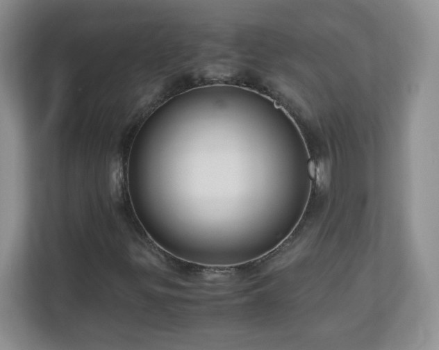 X0000110711299200906191539