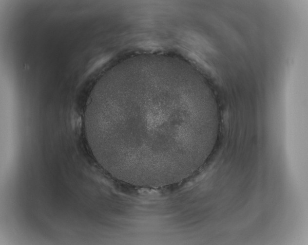 X0000110711302200906191539