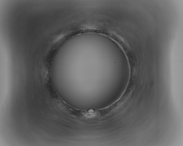 X0000110711303200906191539
