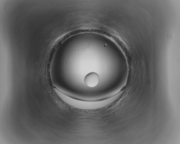 X0000110711304200906191539