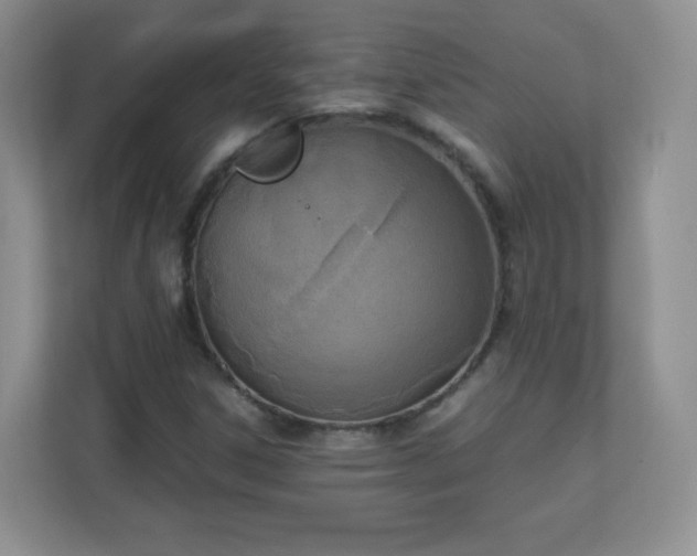 X0000110711306200906191539