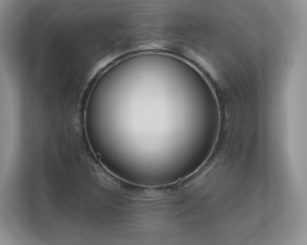 X0000110711308200906191539