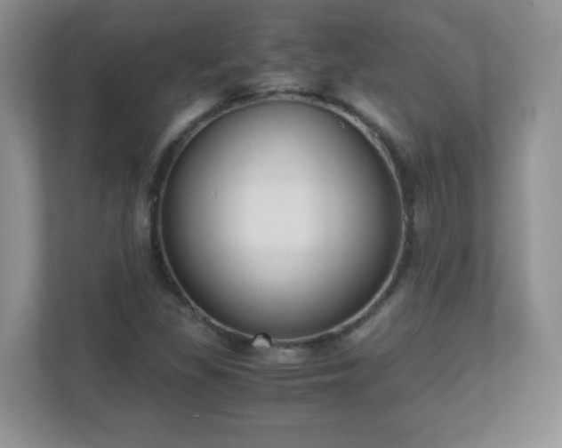 X0000110711309200906191539