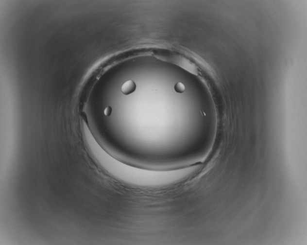 X0000110711310200906191539