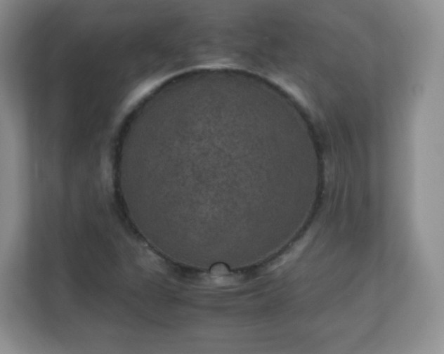 X0000110711311200906191539
