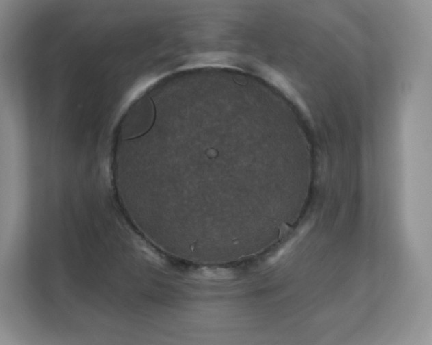 X0000110711312200906191539