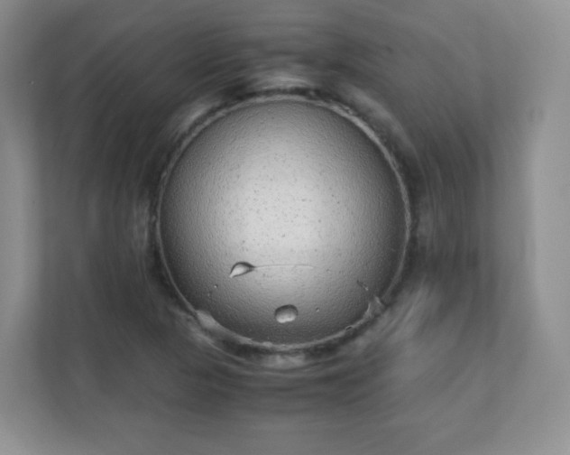X0000110711313200906191539