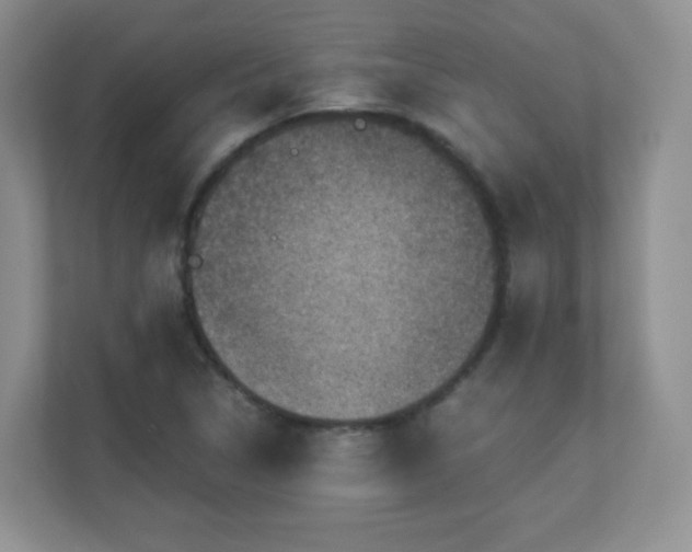X0000110711314200906191539