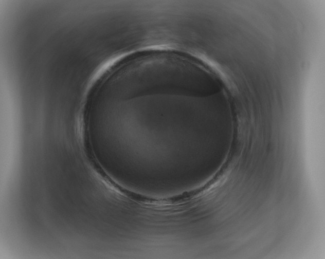 X0000110711319200906191539