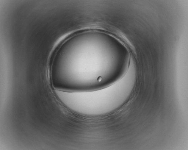 X0000110711320200906191539