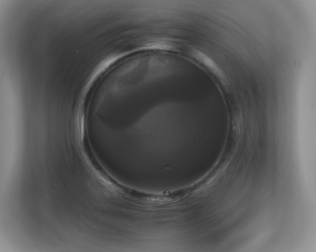 X0000110711323200906191539