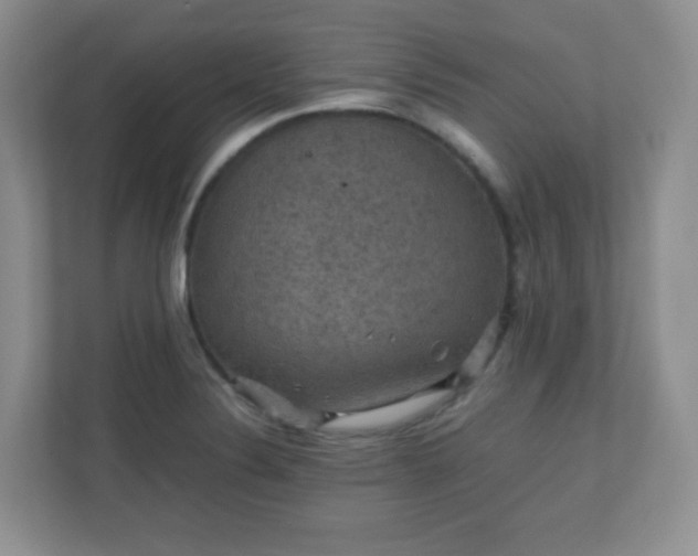 X0000110711324200906191539